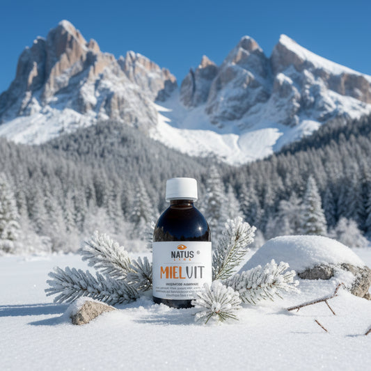 MIELVIT: Integratore Alimentare con Miele, Propoli, Pappa Reale e Polline