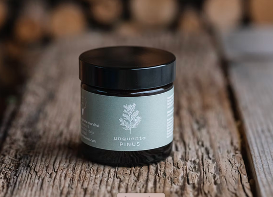 Unguento Pinus • 50ml • Il respiro delle Alpi racchiuso in un balsamo di fitoterapia tradizionale
